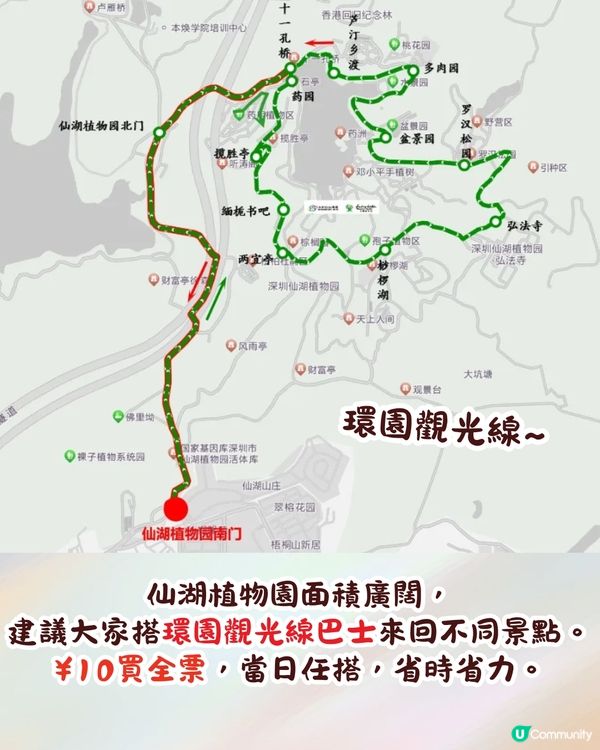 深圳羅湖區仙湖植物園打卡攻略🌲唯美粉色花海+秋日落羽杉+天上人間草坪🚗附交通資訊