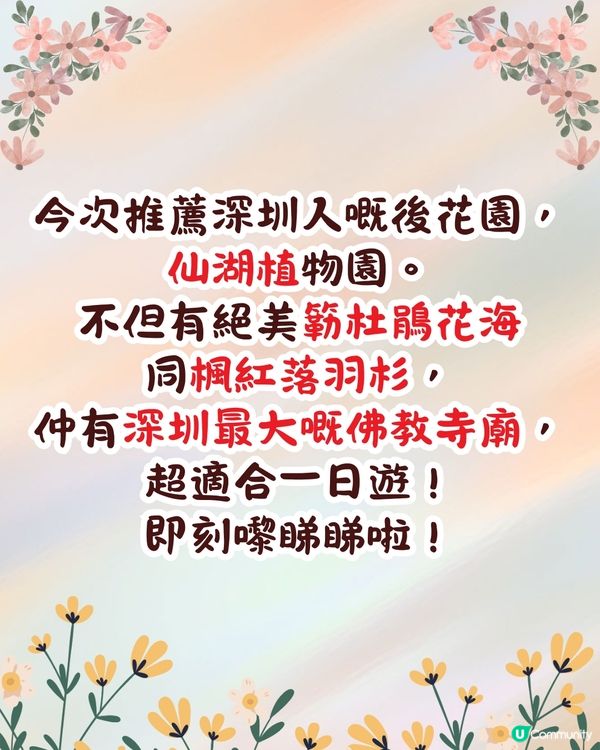 深圳羅湖區仙湖植物園打卡攻略🌲唯美粉色花海+秋日落羽杉+天上人間草坪🚗附交通資訊