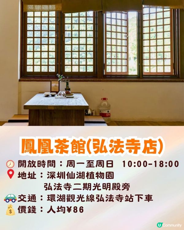 深圳羅湖區仙湖植物園打卡攻略🌲唯美粉色花海+秋日落羽杉+天上人間草坪🚗附交通資訊