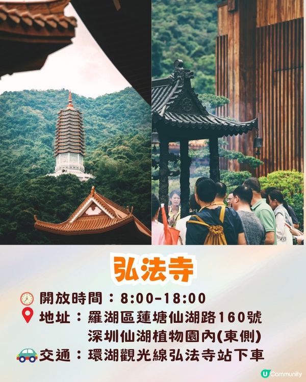 深圳羅湖區仙湖植物園打卡攻略🌲唯美粉色花海+秋日落羽杉+天上人間草坪🚗附交通資訊