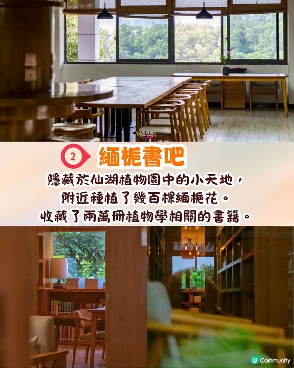 深圳羅湖區仙湖植物園打卡攻略🌲唯美粉色花海+秋日落羽杉+天上人間草坪🚗附交通資訊