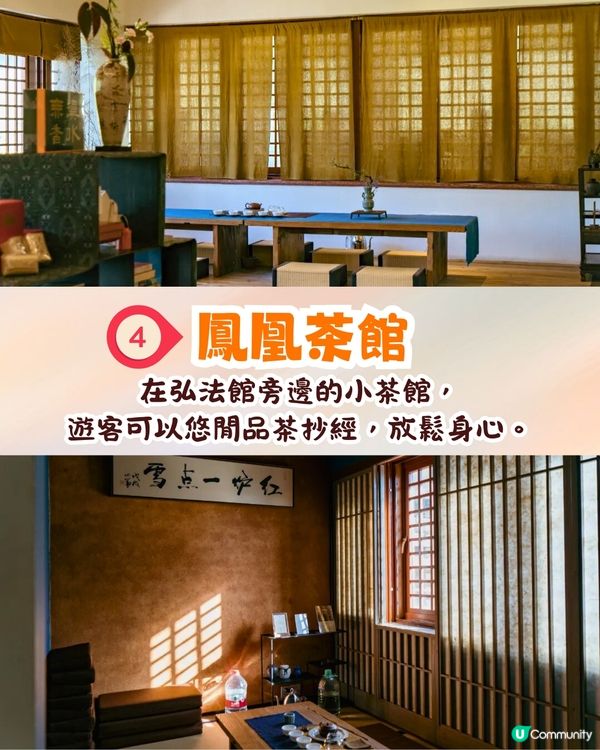 深圳羅湖區仙湖植物園打卡攻略🌲唯美粉色花海+秋日落羽杉+天上人間草坪🚗附交通資訊