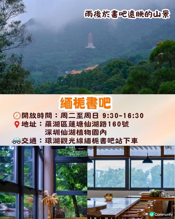 深圳羅湖區仙湖植物園打卡攻略🌲唯美粉色花海+秋日落羽杉+天上人間草坪🚗附交通資訊