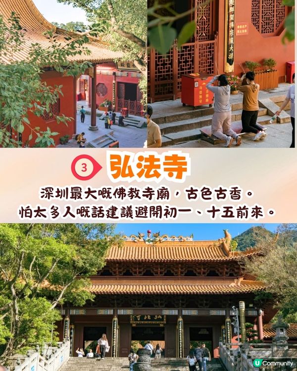 深圳羅湖區仙湖植物園打卡攻略🌲唯美粉色花海+秋日落羽杉+天上人間草坪🚗附交通資訊