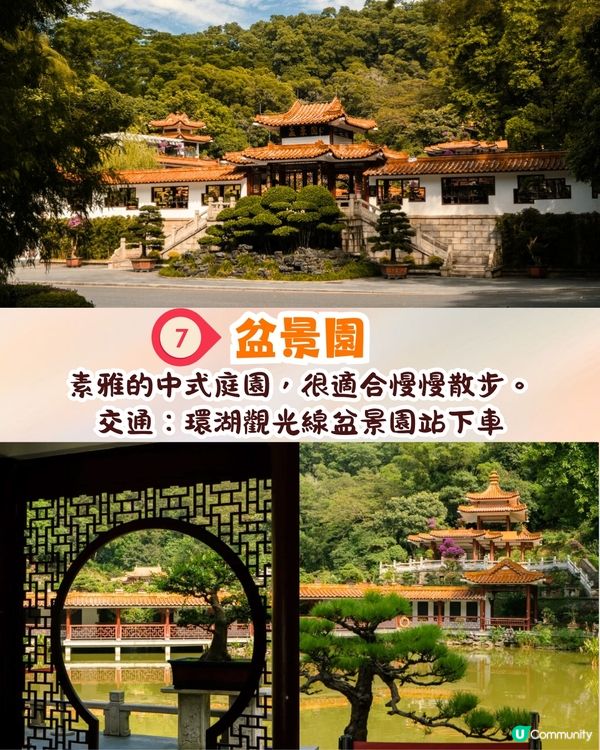 深圳羅湖區仙湖植物園打卡攻略🌲唯美粉色花海+秋日落羽杉+天上人間草坪🚗附交通資訊