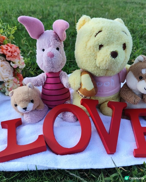 日本🇯🇵東京芝公園早上，陽光草地東京鐵塔🗼