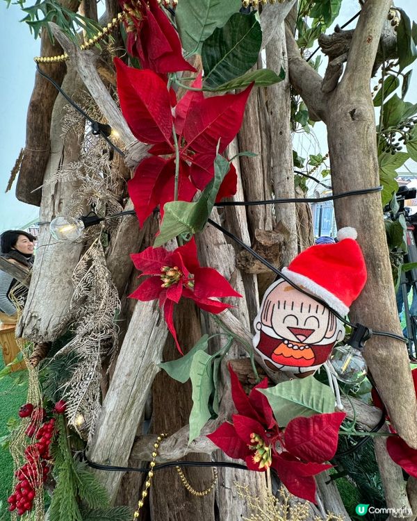 🇯🇵 一年一度Fukuoka Santa 🎅Walk慈善活動💌