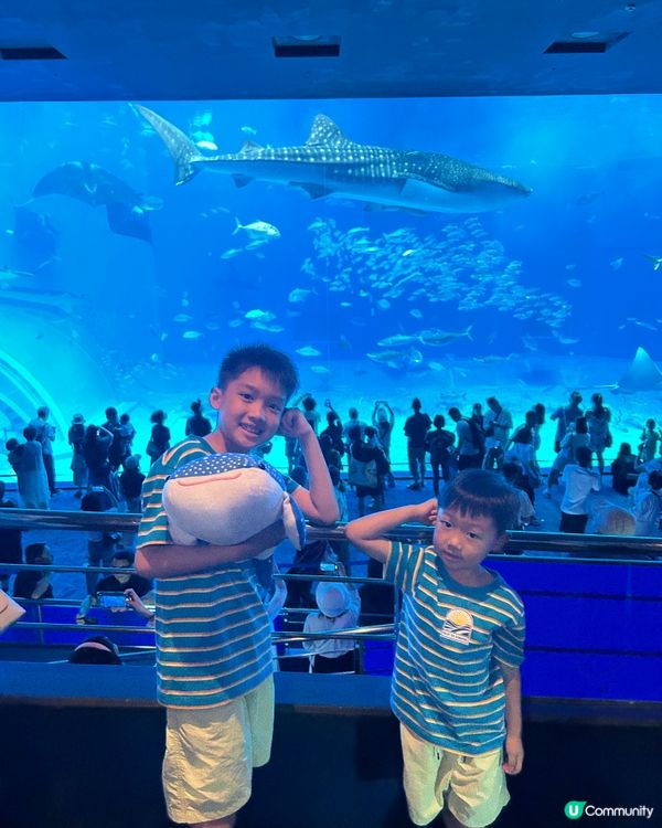 【 沖繩北部一日遊 | 景點豐富吸引全包門券 】