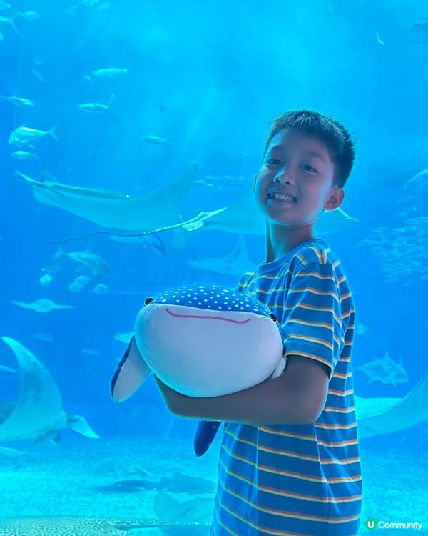 【 沖繩北部一日遊 | 景點豐富吸引全包門券 】