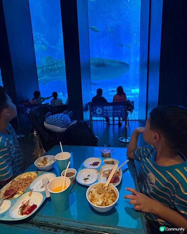 【 沖繩北部一日遊 | 景點豐富吸引全包門券 】