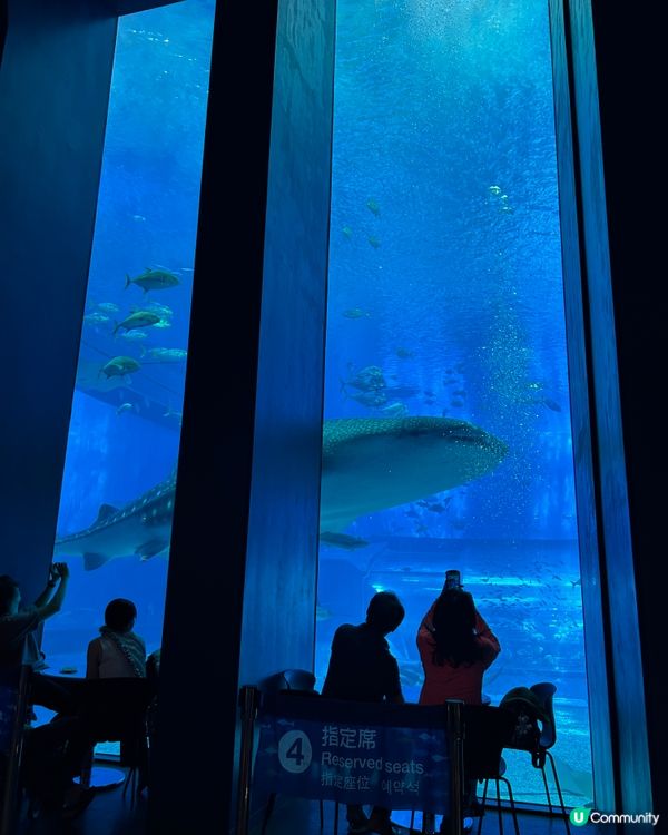 【 沖繩北部一日遊 | 景點豐富吸引全包門券 】