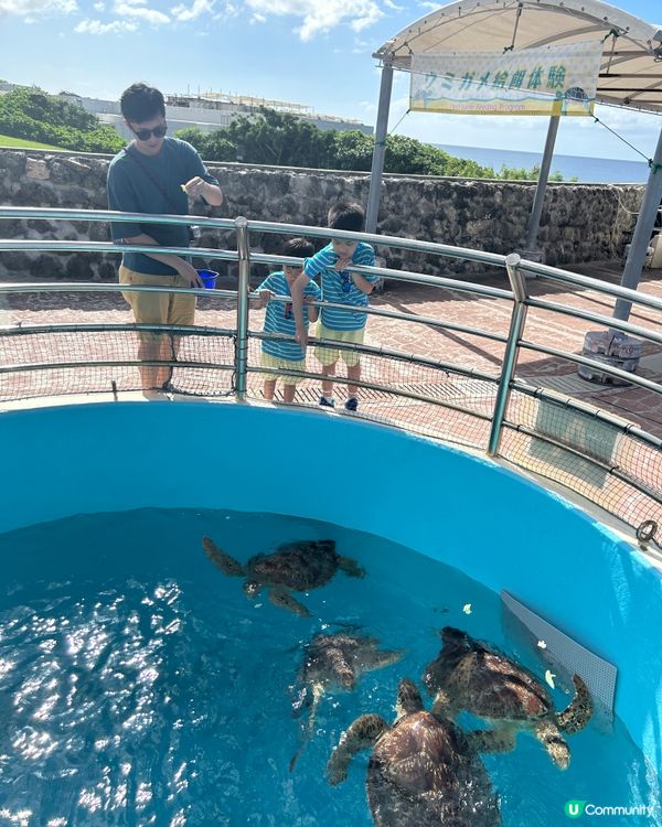 【 沖繩北部一日遊 | 景點豐富吸引全包門券 】