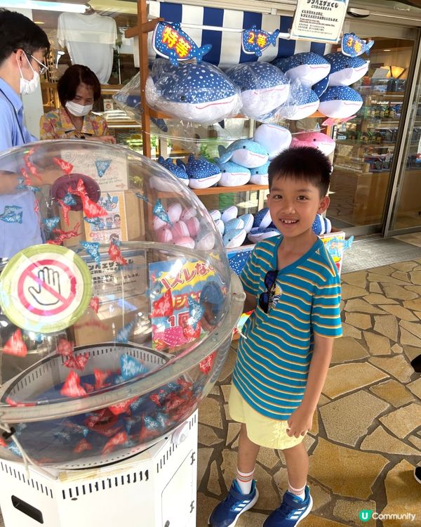 【 沖繩北部一日遊 | 景點豐富吸引全包門券 】