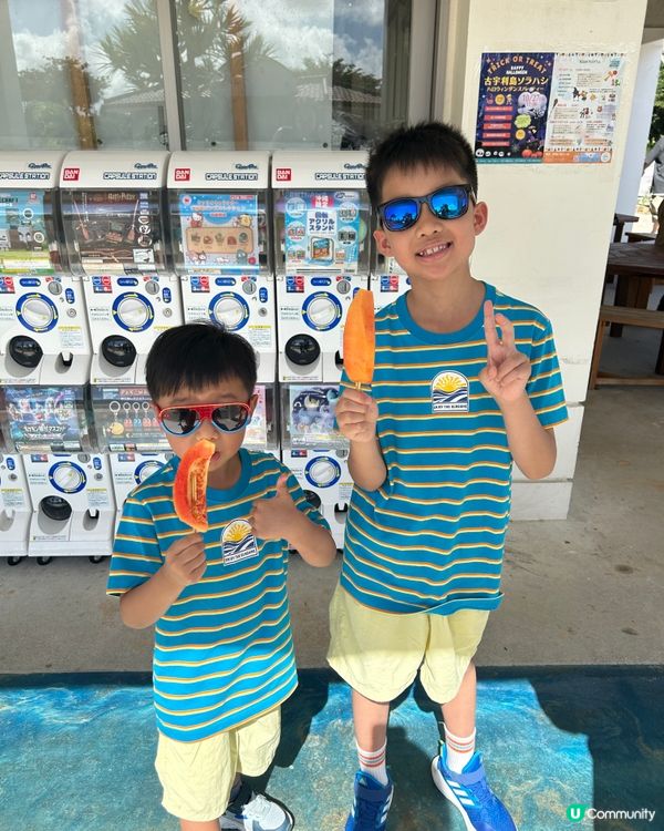 【 沖繩北部一日遊 | 景點豐富吸引全包門券 】