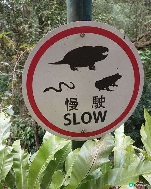 only in Kadoorie🚳