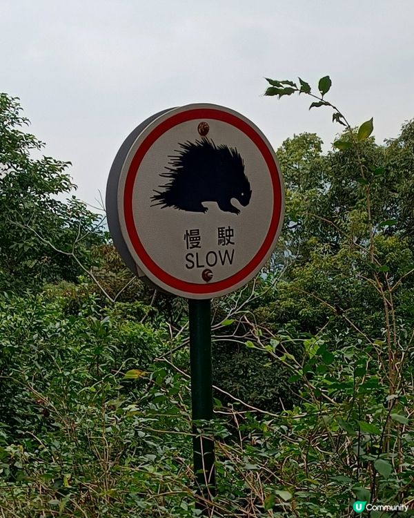 only in Kadoorie🚳