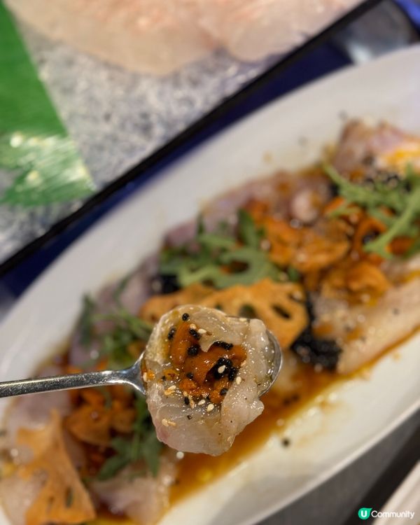 品嚐韓國刺身🐠! ｢2024 韓國海鮮節｣