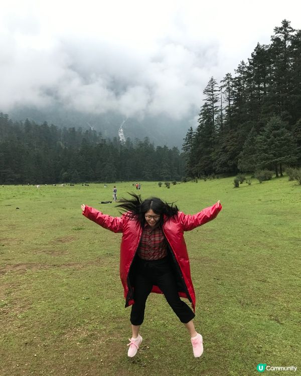 玉龍雪山🏔️氂牛坪打卡🐮🐃