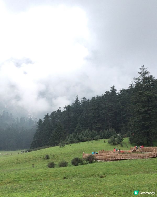 玉龍雪山🏔️氂牛坪打卡🐮🐃