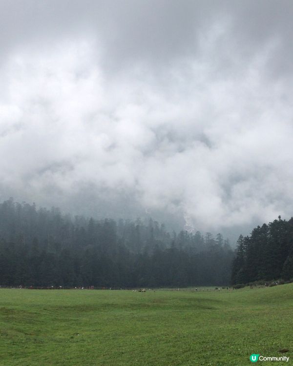 玉龍雪山🏔️氂牛坪打卡🐮🐃