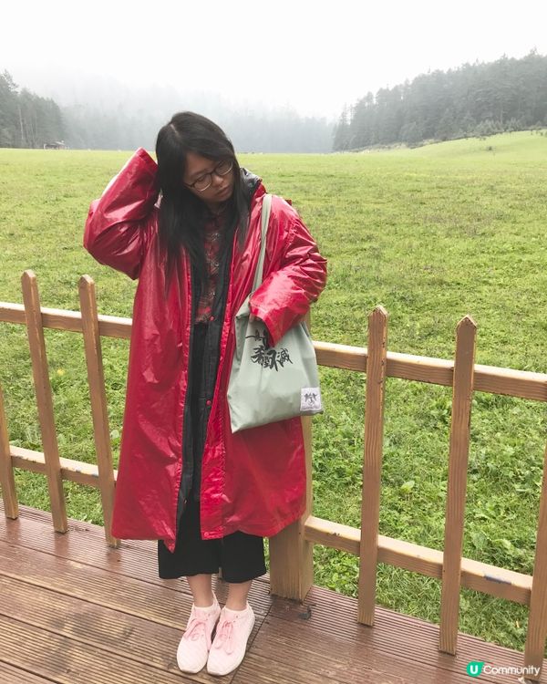 玉龍雪山🏔️氂牛坪打卡🐮🐃