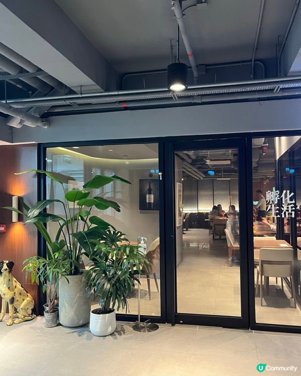 荔枝角優雅格調小酒館