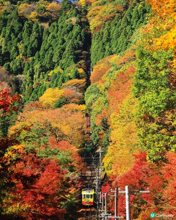 東京高尾山絕美🍁路線和美食全攻略😍