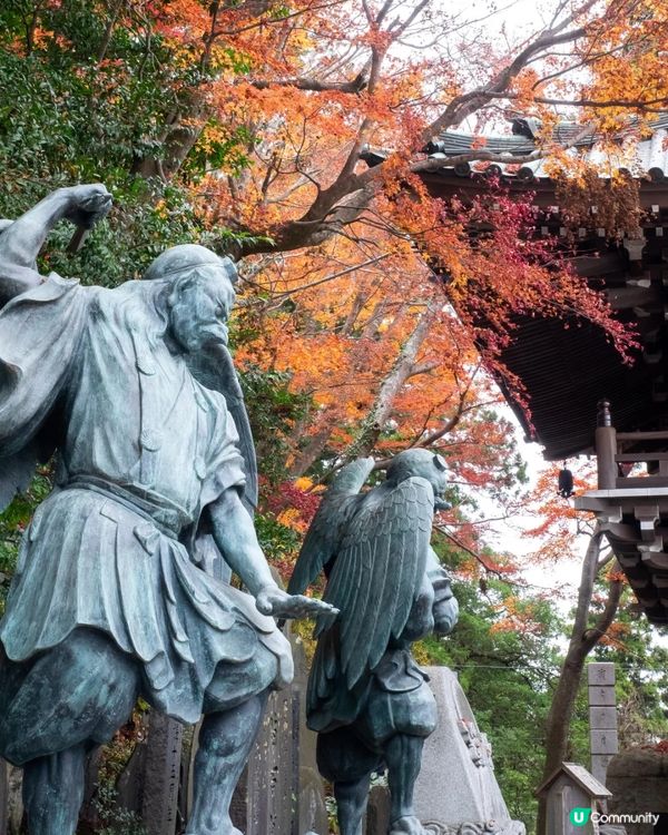 東京高尾山絕美🍁路線和美食全攻略😍