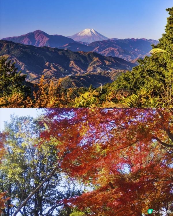 東京高尾山絕美🍁路線和美食全攻略😍