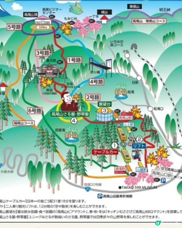 東京高尾山絕美🍁路線和美食全攻略😍