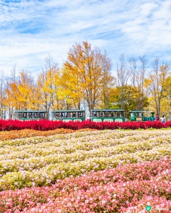 ❓為何🇯🇵日本拍照總是藍🩵💙🌏 