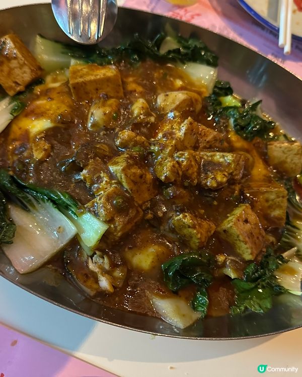 ## 何蘭正新菜牌登場🤩 食到停唔到！