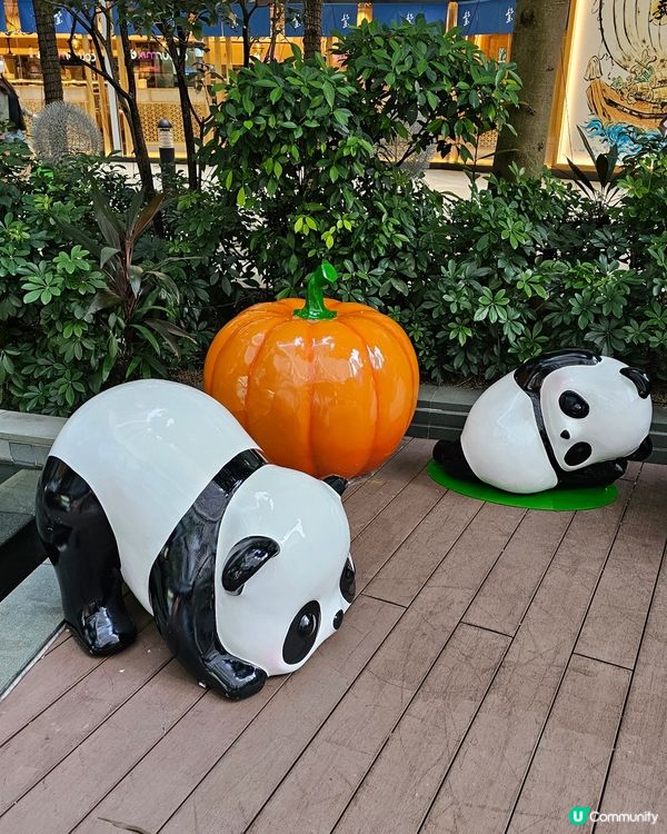 荃新天地 萌熊出沒！🐼💕