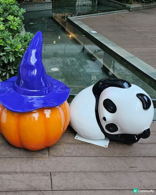 荃新天地 萌熊出沒！🐼💕