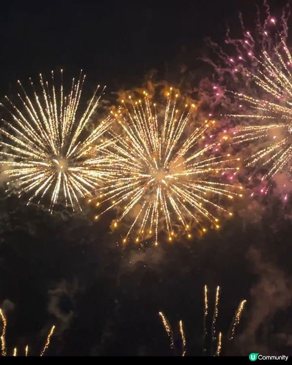 沖繩嘅琉球海炎祭～11月1號開賣啦 如果有興趣12月去嘅朋友可以留意吓