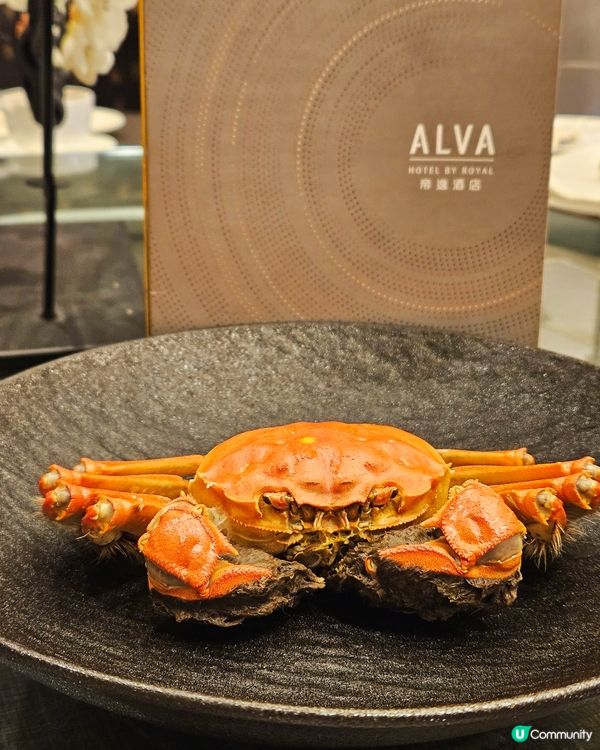 秋風起，蟹宴開，7両大閘蟹套餐滋味🦀🦀🦀