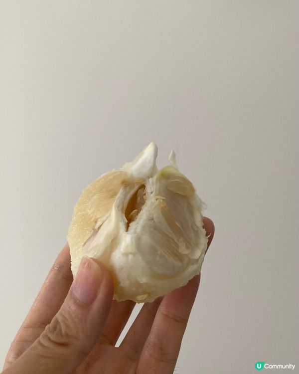 ## 油街暖笠笠，兩代廚房傳承愛❤️人人都是照顧者