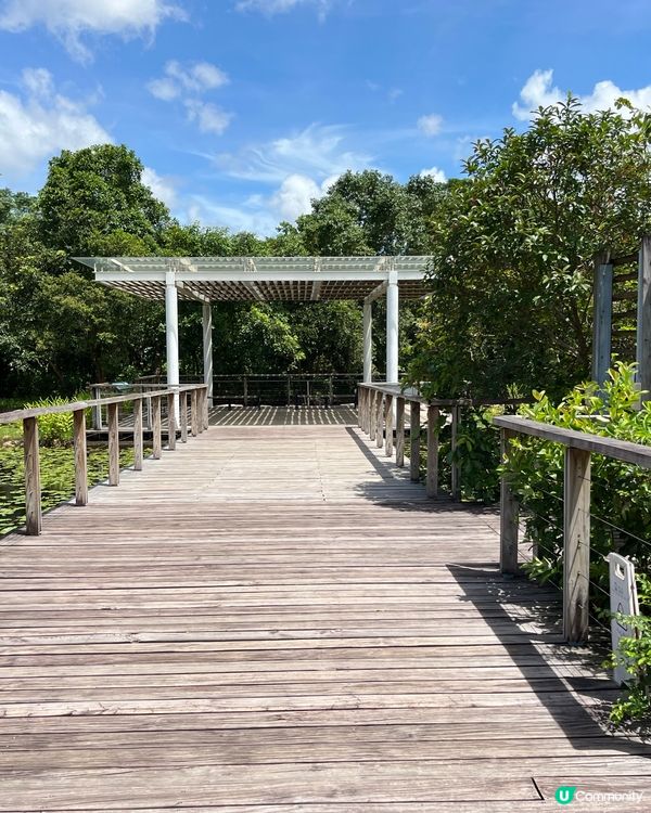 鱷魚🐊貝具的休息之所