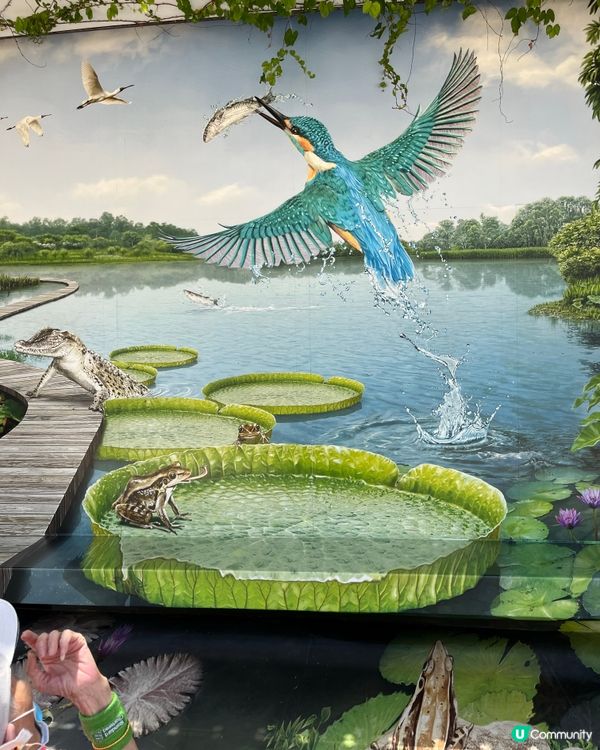 鱷魚🐊貝具的休息之所