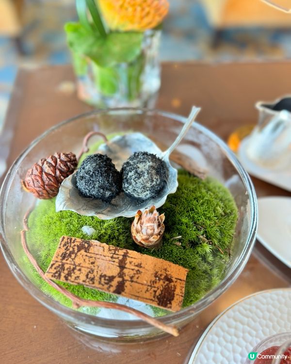 九龍香格里拉下午茶 ☕️🍰  打卡一流！