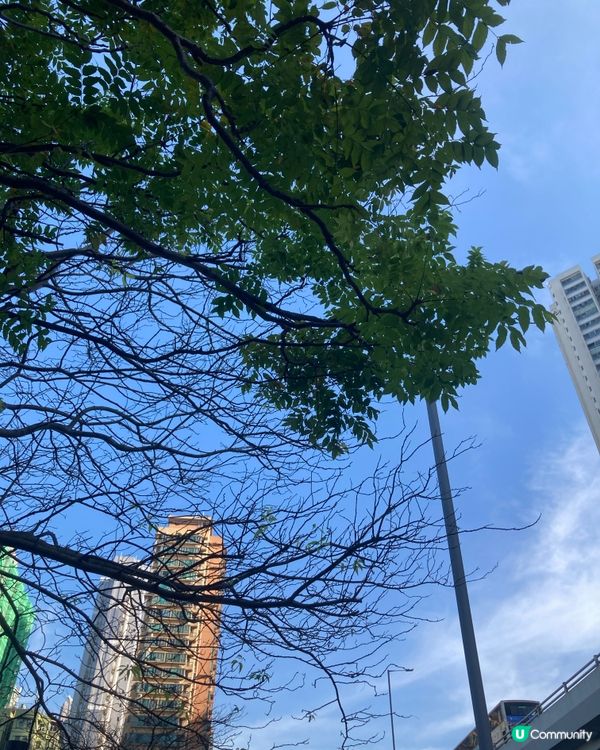 深水埗新展覽！🎨  海壇街藝術之旅！🚶‍♀️從昔日到現代化的作品