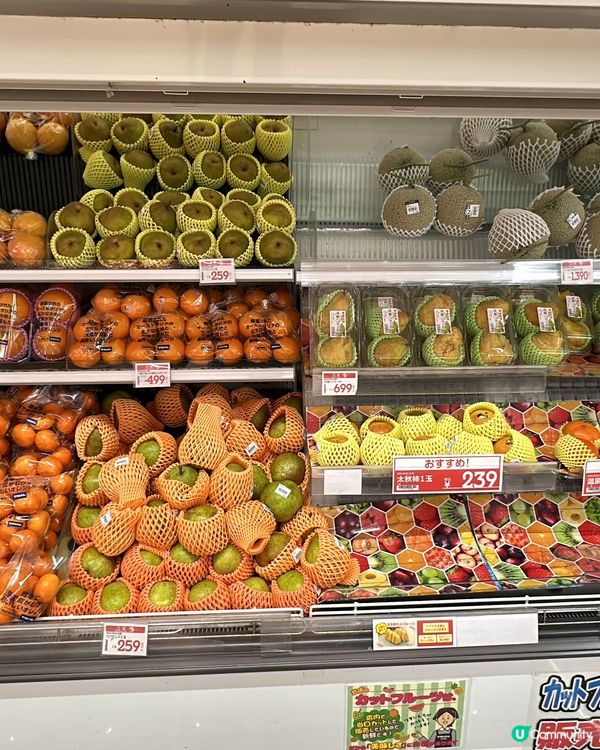 唐津最大型超市TRIAL