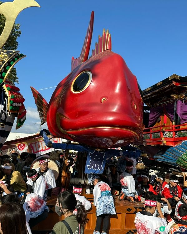 唐津宮日祭/14台山車