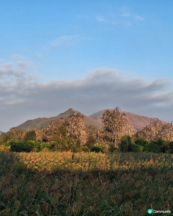 單車遊元朗到南生圍 🚴‍♂️🚴‍♀️