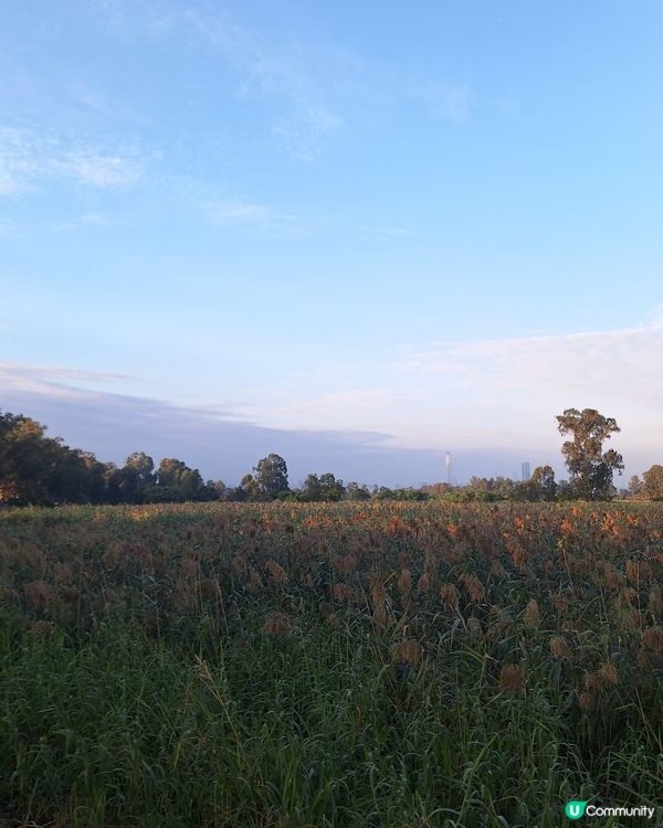 單車遊元朗到南生圍 🚴‍♂️🚴‍♀️