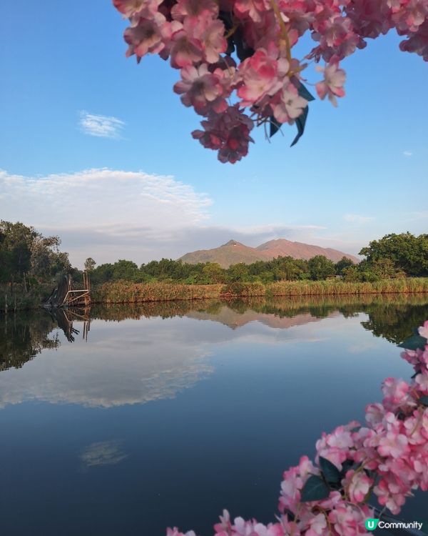 單車遊元朗到南生圍 🚴‍♂️🚴‍♀️