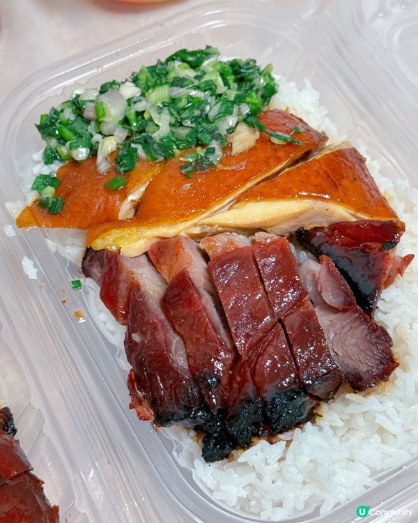 上水新康街74號地舖 大少燒味茶餐廳 🤤