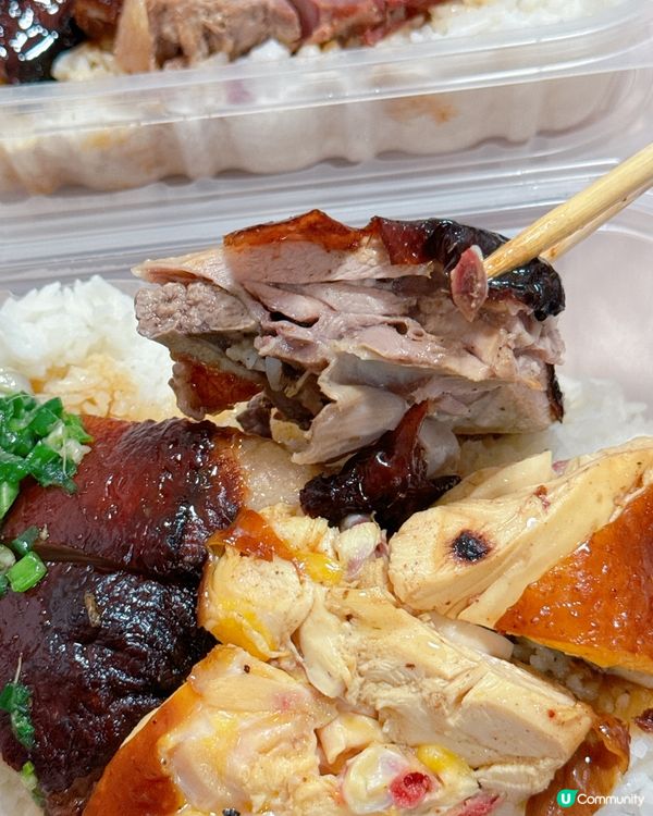 上水新康街74號地舖 大少燒味茶餐廳 🤤