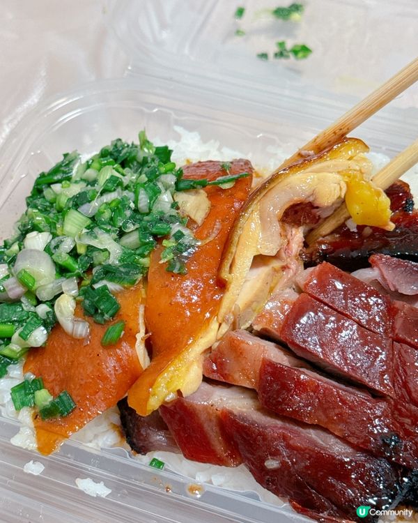 上水新康街74號地舖 大少燒味茶餐廳 🤤