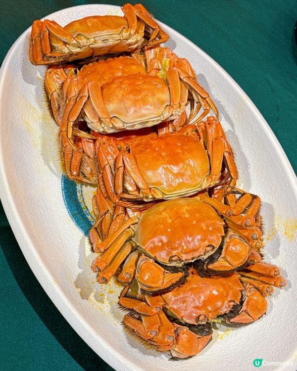 食蟹季節到啦🦀  
東海薈皇者大閘蟹餐！